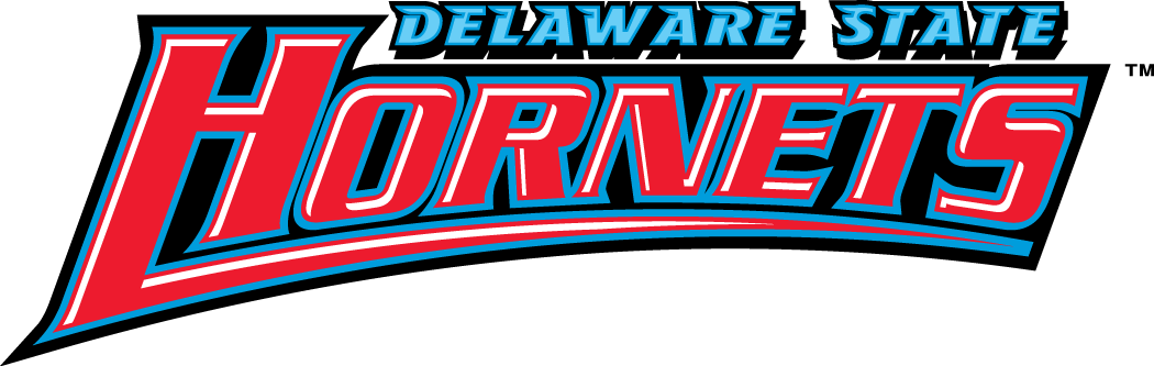 Delaware State Hornets 2004-Pres Wordmark Logo 02 vinyl decal